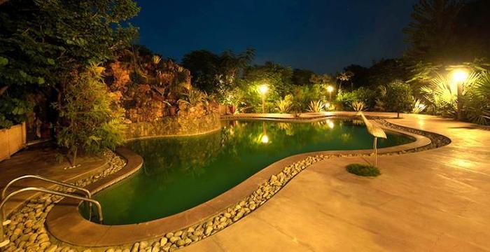 Tree House Resort